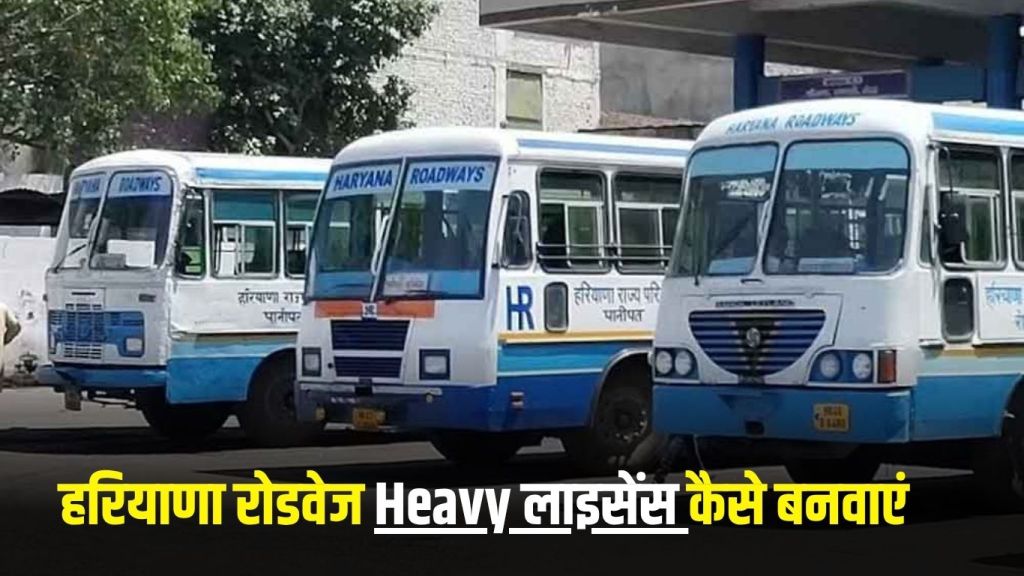Haryana Roadways Licence: Get Haryana Roadways Heavy License like this, see the complete process here