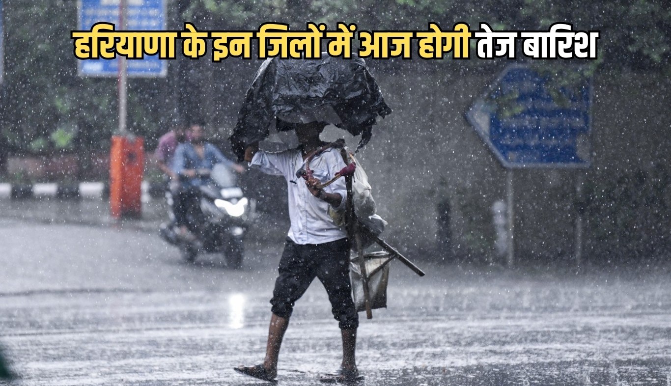 There will be heavy rain in these districts of Haryana today