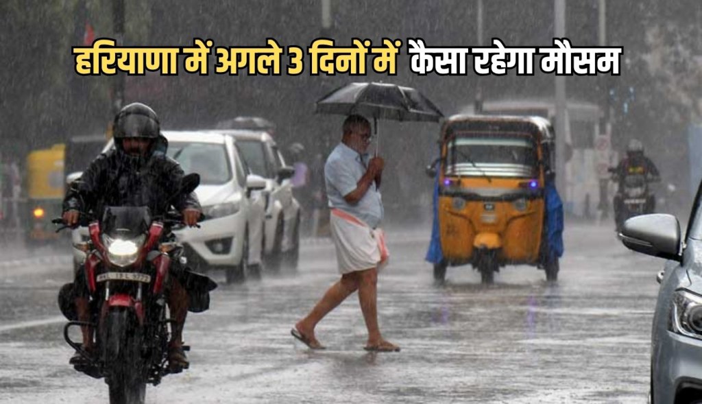Heavy rain in many districts of Haryana