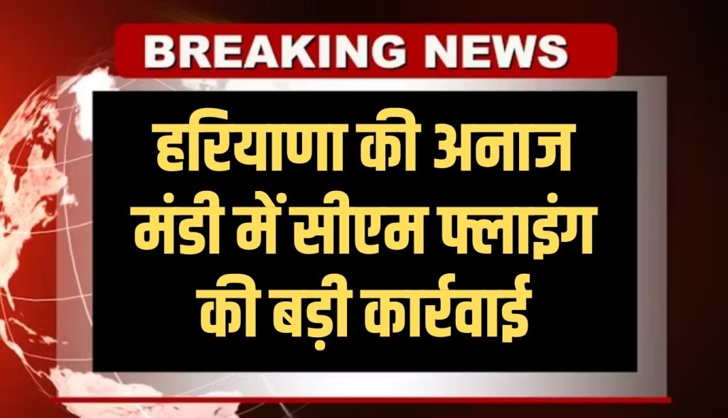 CM Flying took a big action in Haryana's grain market