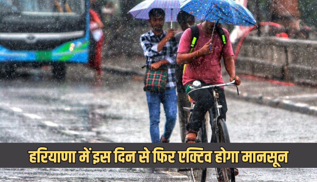 Monsoon will be active again in Haryana from this day