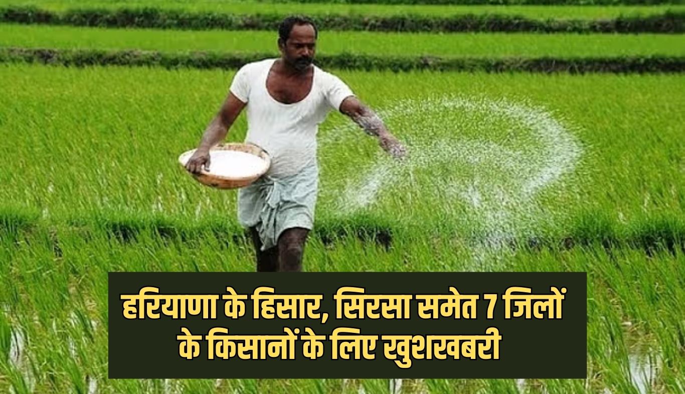 Haryana: हरियाणा के हिसार, सिरसा समेत 7 जिलों के किसानों के लिए खुशखबरी, ई-क्षतिपूर्ति पोर्टल 31 तक रहेगा खुला, हजारों एकड़ फसल हुई है तबाह 4 Good news for farmers of 7 districts of Haryana including Hisar, Sirsa