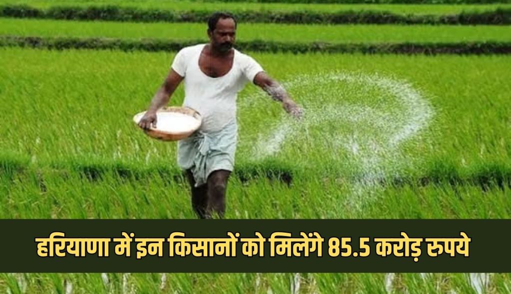 Good news for these farmers in Haryana
