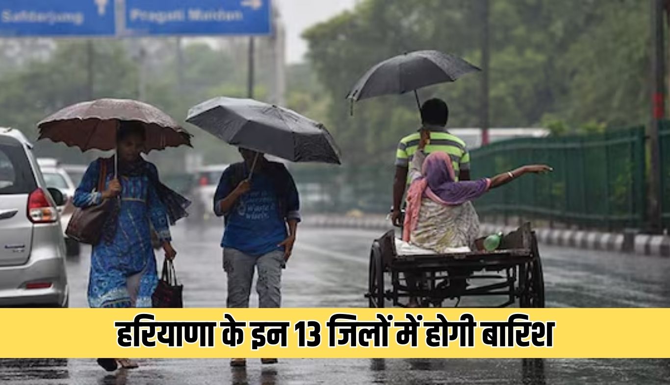 There will be rain in these 13 districts of Haryana
