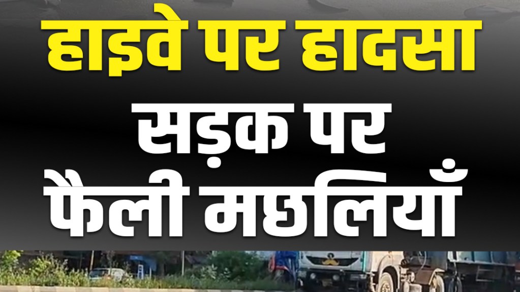 Rewari: Fish stuffed in a pickup scattered on the highway