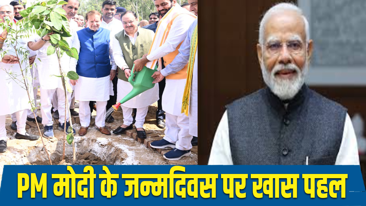 Namo Van : प्रधानमंत्री नरेन्द्र मोदी के जन्मदिवस पर रोहतक में नमो वन का उद्घाटन, लगाए गए 10 हजार पौधे 5 Namo Van inaugurated in Rohtak on the birthday of Prime Minister Narendra Modi