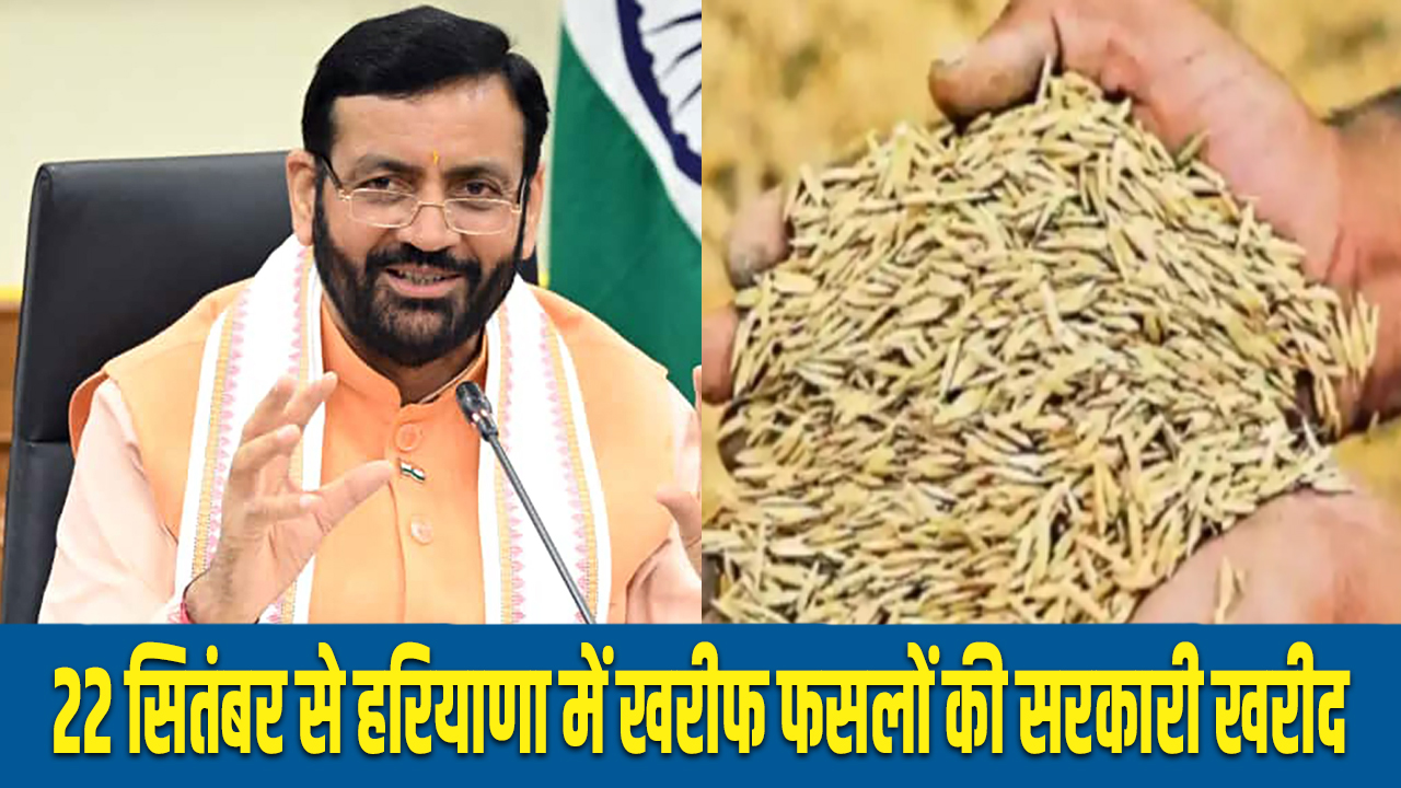 haryana: Crop procurement will start from September 22 at MSP