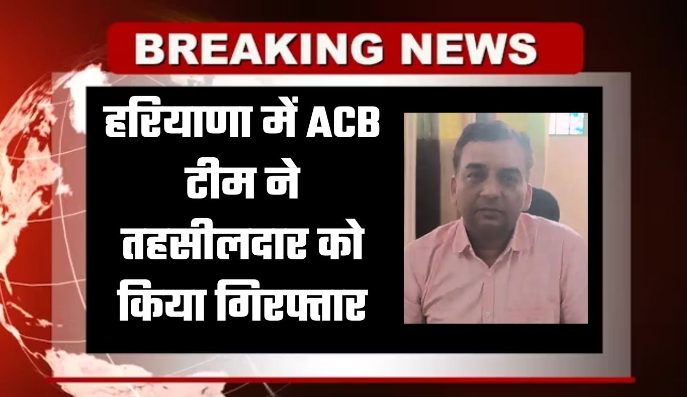 Haryana: हरियाणा में ACB टीम ने तहसीलदार को किया गिरफ्तार, जानें वजह 9 haryana news 2026 01 31T175825.531