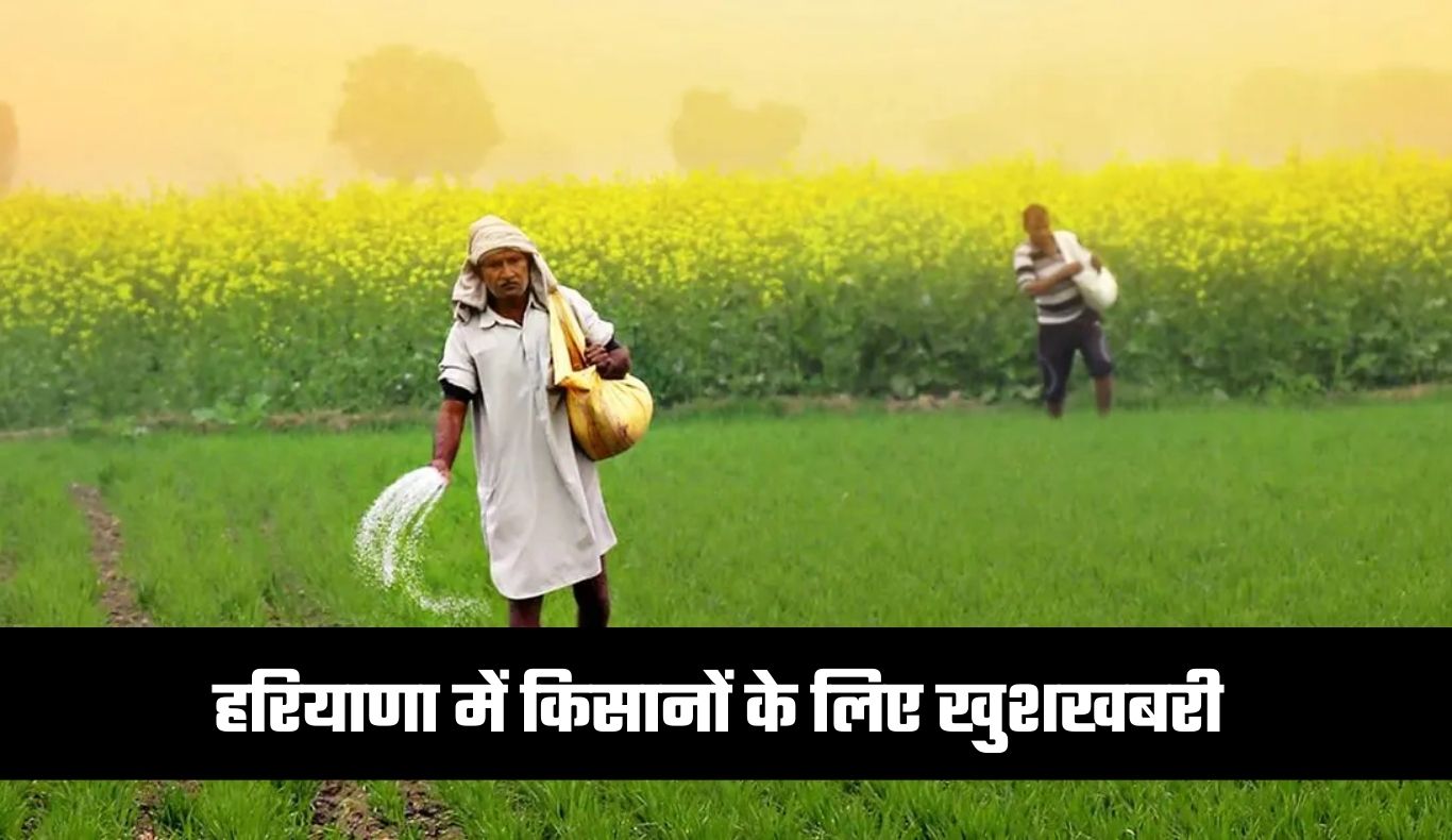 Haryana: हरियाणा में किसानों के लिए खुशखबरी, सरकार ने किया ये ऐलान 5 Good news for farmers in Haryana