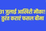 Rewari News:Important information for farmers | Insurance for Kharif crops to be done by July 31