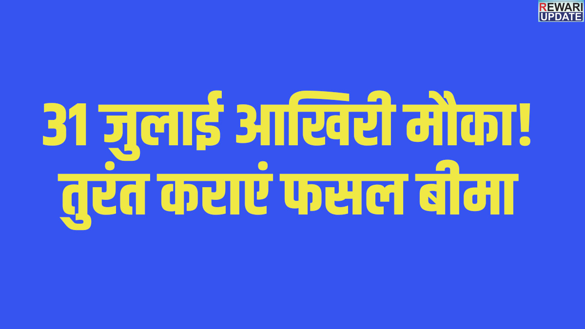 Rewari News: किसानों के लिए जरूरी सूचना , 31 जुलाई तक होगा खरीफ फसलों का बीमा 5 Rewari News:Important information for farmers | Insurance for Kharif crops to be done by July 31